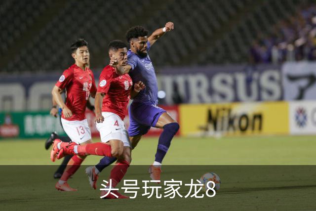 头号玩家龙8公司介绍